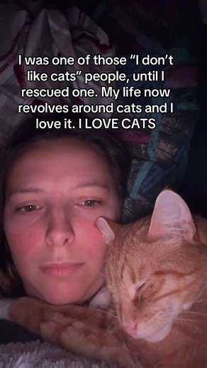 Transforming Views on Cats Through Rescue Stories