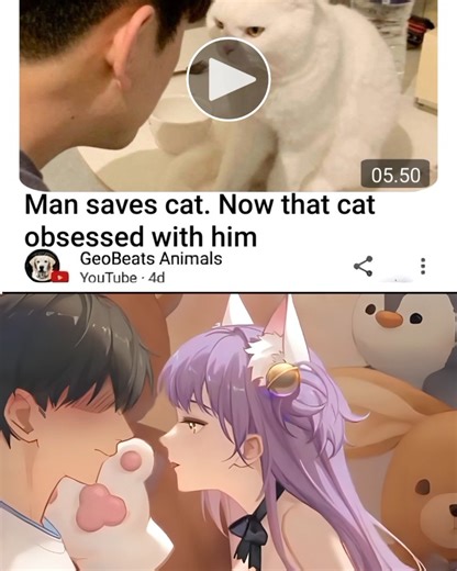 232K views · 5.8K reactions | Now cat saving him from being single....