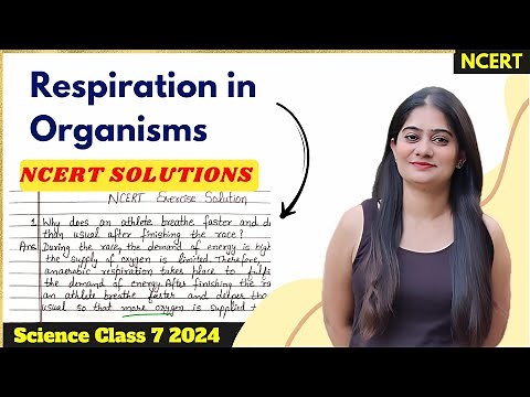 Chapter 6 | Respiration in organisms Questions and Answers | NCERT Solutions
