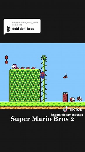 Yume Kojo Doki Doki Panic and Super Mario Bros 2 Nostalgic Retro Gaming