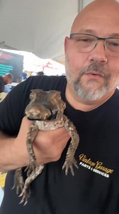 14 reactions · 8 comments | Another little girl from the Alligator Festival #alligator #Louisiana #wildlife | Mike’s Alligator Page | Facebook