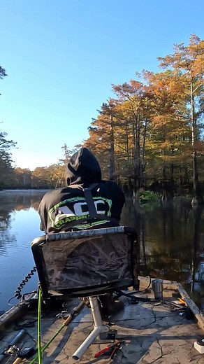 Fishing sunken trees in the middle of the lake, using a 15ft pole combined with a 1/16 oz black and chartreuse jig fishing it 12 ft deep! #acccrappiestix #crappiefishing #love #zen #crappie #Arkansas #livescope #crappieseason | Crappie Slanger