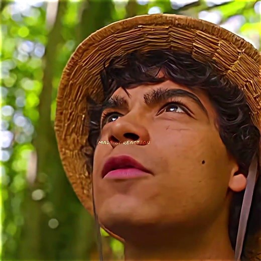 Luffy was enjoying nature.😱🔥⚡️#onepiece #luffy #nature #shorts #edit