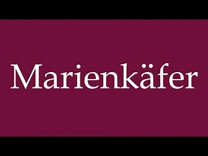 How to Pronounce ''Marienkäfer'' (Ladybug) Correctly in German