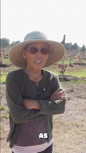 She Lost All Her Trees in the Freeze… Then Bought 400 Mango Trees