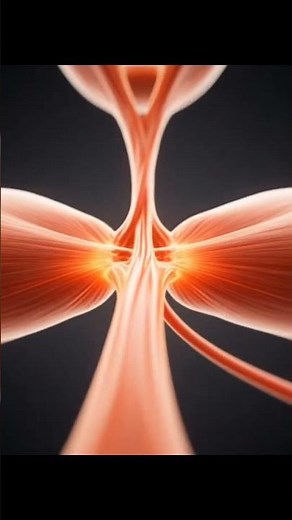 Inside Your Body During Exercise 3D #ExerciseScience #HumanBody #FitnessFacts