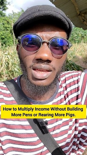 Scaling Your Pig Farm: How to Multiply Income Without Building More Pens or Rearing More Pigs. 💰💸 #fblifestyle | Olasfem farms