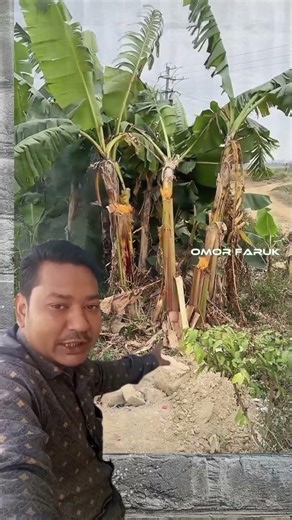 Lighting effects #inspiredaily