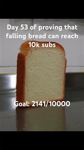 Day 53 of proving that falling bread can reach 10k subs