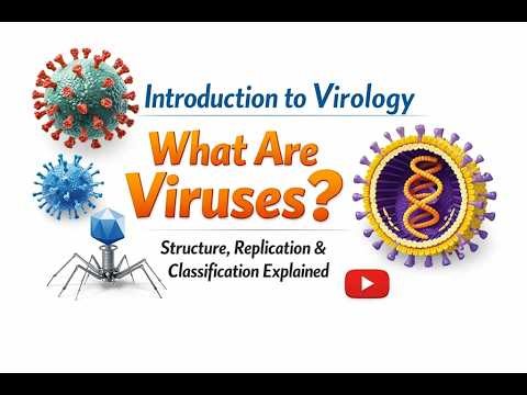 Introduction to Virology | What Are Viruses? Structure, Replication & Classification Explained