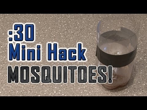 How To Get Rid of PESKY MOSQUITOES!