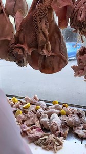 8M views · 10K reactions | Trippa e centopelle  | Gasparino | Facebook