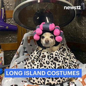 4.7K views · 77 reactions | THESE ARE GREAT!  We asked for the best...