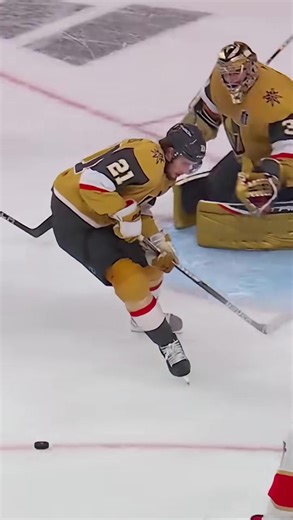 Incredible Rescue Moments in Hockey