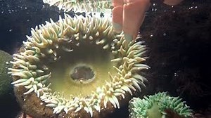 1.4K views · 33 reactions | Keep your friends close, and your...