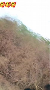 10K reactions · 181 shares | Teri komal Jawani ko kahi meri nazar. Na #viralreels #trendingreels #instagood #intagood #viralvideos #formalwear #instagram #viral #winterfashion #outerwear | Lalita Kumari | Facebook