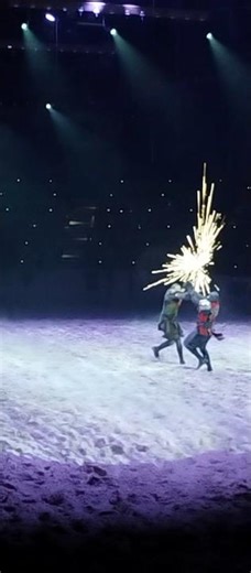 #medieval #time #duel #reenactment #tournament