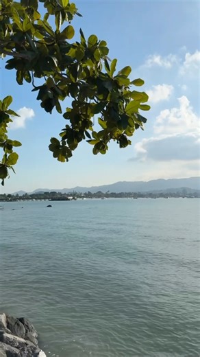 1.1K views · 19 reactions | Daily Activities at The Lamai Samui ...