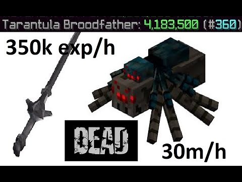 Infinite Tarantula Slayer Guide! (Hypixel Skyblock)