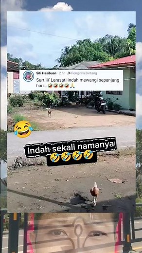 siapa lagi yg belum ke absen bang😂😅 #ngakak #lucu #funny #comedy #viralvideo #shortvideo #shorts
