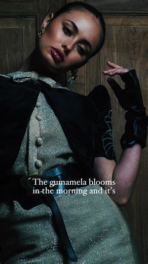 The Gumamela Blooms for One Day | The Mestizo