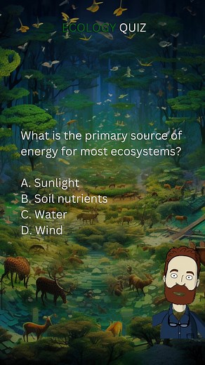 Ecology Quiz | Think You Know About Ecosystems? Take Our Ecology Quiz and Find Out! | #ecology #nature #science #ecologyquiz #ecosystemknowledge #quiz #education #school #trivia #facts #fbreels #reelsfb #reels #viralreels #fyp #quizbee | Quizzy Bee
