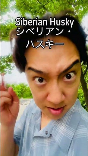 犬の種類