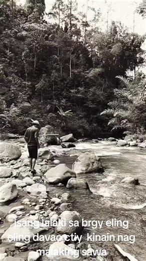 A Shocking Encounter with a Massive Python in Davao City