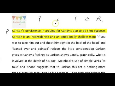 Carlson - PETER paragraphs