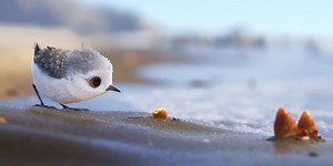 Pixar's stunning short film 'Piper' is streaming online for free—and it'll take your breath away