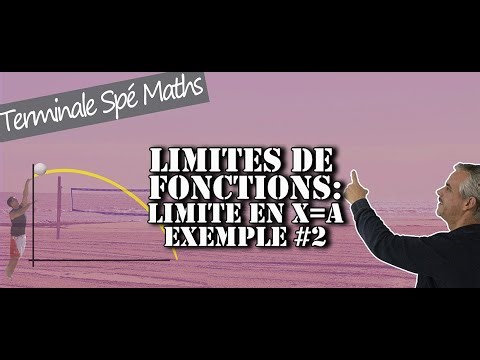 Limite de fonctions - Limite en x=a : Exemple 2