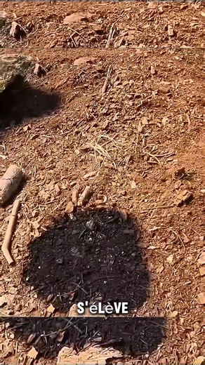 72K views · 304 reactions | Cet homme tombe sur un tas de cendres...