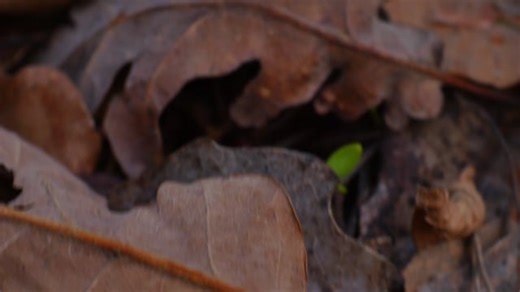 Hombre, Nubes, Espejo, Lago