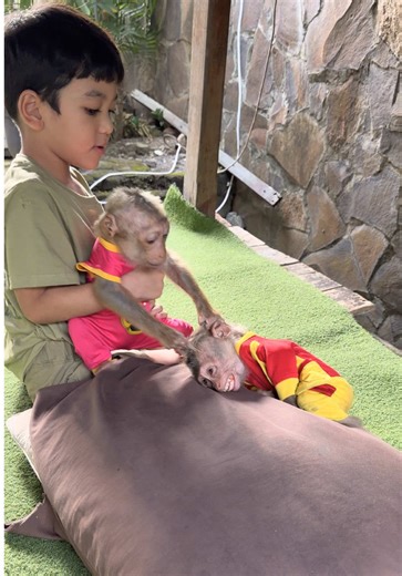My kid calmly stepped in to settle the tension between these two cute little girls 🐒👀 #MonkeyLife #FunnyMonkey #CuteMoments #LittleDrama #DailyMonkey