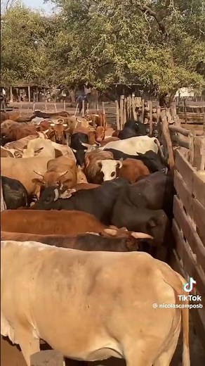 25 de noviembre de 2025