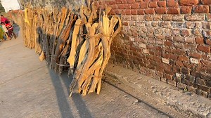 In this video, we will show you the beauty of real Indian village. how hygienic are Indian villages now… this village located in Shakumbri Devi in Shivalik Hills. The people of this village are very humble and good host with open heart. Hope you like this video. Please give your feedback of this video on this video, comment #Village #IndianVillage #BeautyOfVillage #DesiLife #Warming #Nature #Beauty #Farming #Viral #Reels #Shorts #Short | Steve Fernandes