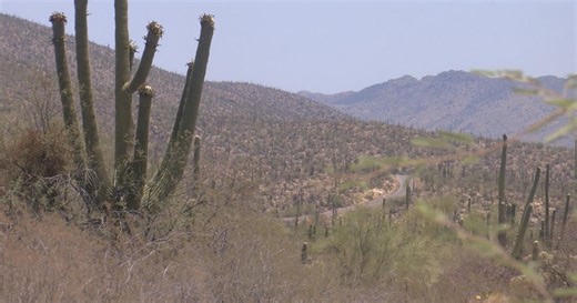 Tucson's Sabino Canyon Park Road gets new upgrades