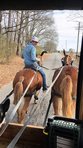 #saddlemules #mulesoftiktok #wagonrides #mulesforsale #mules #wagonmules #ridingmules #muleskinners #draftmules