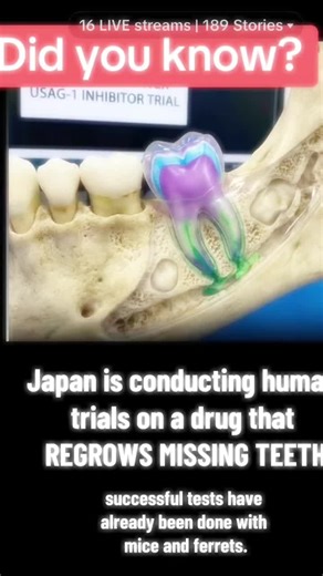 🦷 Scientists have already proven teeth can regrow Just not where you’re being told to look. In other countries, researchers have been testing tooth regeneration, activating dormant pathways tied to dentin, pulp, and enamel signaling. That means this isn’t sci-fi. It’s biologically possible. ⚡ Here’s what most people miss: Teeth aren’t just mechanical. They’re vibrational structures. Sound, frequency, and resonance influence: • Cell communication • Mineral uptake • Tissue signaling • Structural 