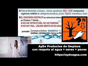 Conoce el COV compuestos orgánicos volátiles en los productos de limpieza por Edith Almeyda F
