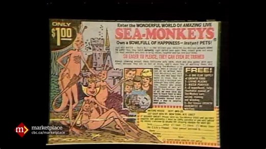 2.6K views · 59 reactions | #tbt In 1974, we busted Sea Monkeys. (Really.) Check out this vintage Marketplace from May 5, 1974. | CBC News: Marketplace | Facebook