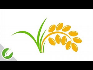 Sheaf of wheat Drawing with CorelDraw | Flat Vector Style | Drawing | CorelDraw Tutorial