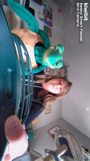 When you set up a smart bird feeder and suddenly you’re a wildlife documentary host. Comment “TWEET” and I’ll DM you the link. 🐦 #birds #birdfeeder #comedy #ventriloquist #birdwatching | Meghan Casey - Professional Ventriloquist