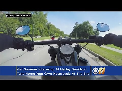 Born To Train! Harley-Davidson Interns Get Free Motorcycle