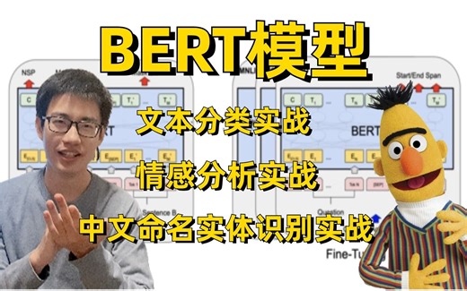强推！B站最全的【BERT模型实战教程】基于BERT模型的文本分类、情感分析及中文命名实体识别实战教程，迪哥带你玩转NLP核心框架—BERT模型！