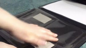 Portfolio Organizer with Five-Pocket File Folders, Two Card Pockets, and Two Pockets to Hold Data Discs or Small Documents. Size 13 X 10 .5 Inch (Pink and Orange)