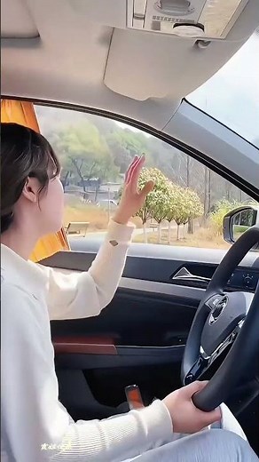 Best Magnet Car Sun Shades! (Installs in Seconds) Car Window Curtains #viral #ytshorts