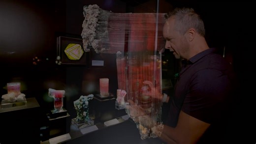 There are those that believe that the Peabody’s bluecap tourmalines are some of the greatest mineralogical discoveries in history. Decide for yourself on this episode of Mineral Monday. | Yale Peabody Museum