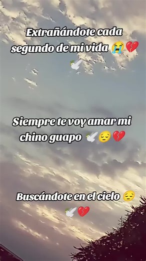 Te extraño mucho hijo de mi vida 😭💔🕊️ pero nos veremos cuando Jehová haga el llamado y te diré lo duro que fue vivir sin tí 😔💔 Te abrazaré y te llenare de muchos besos y te diré que jamás me olvidé de ti y que siempre te amé con toda mi alma #sussyx100pre🥰💙👑 #inolvidable💙❤️‍🔥👑😎 #siempreautentica🥰💙😌 @Ivancito🔥 mi ángel rebelde 😔🕊️💔🙏🏻