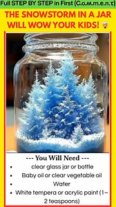 612K views · 2.1K reactions | Make Your Own Snowstorm in a Jar at Home Looking for a science activity that kids will love? These DIY Snowstorm Jars are calming, mesmerizing, and incredibly fun to watch. With just a few simple ingredients, you can create a swirling, glittery snow effect right at home. | Kira Recipes | Facebook